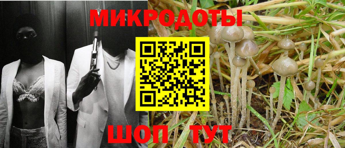 Псилоцибиновые грибы Magic Shrooms  Вход с VPN  Галлюциногенные грибы Psilocybe  Тобольск 