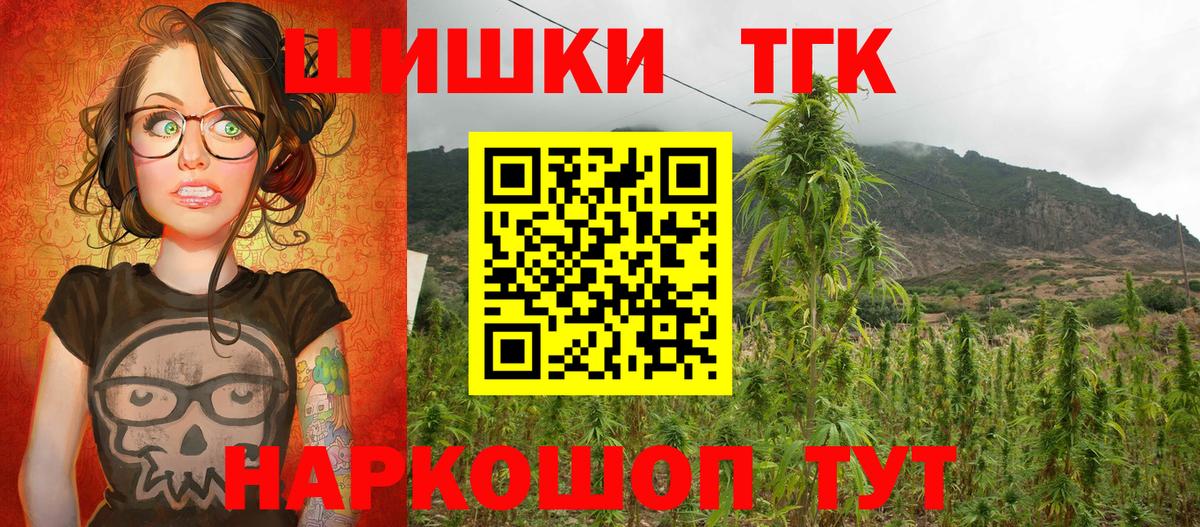 Бошки Шишки планчик Тобольск